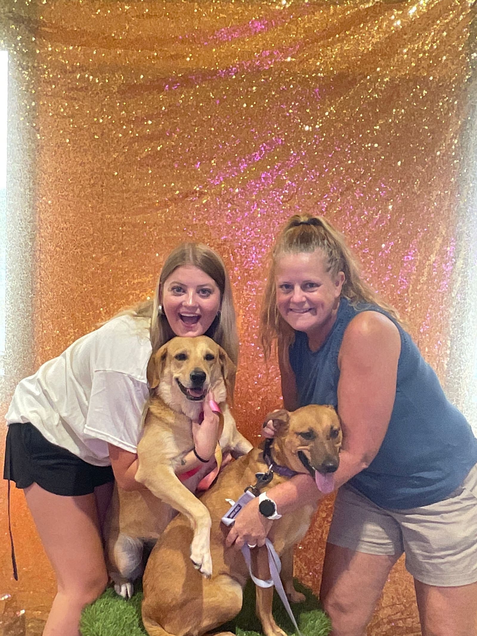 Guests and their dog posing at the photo booth